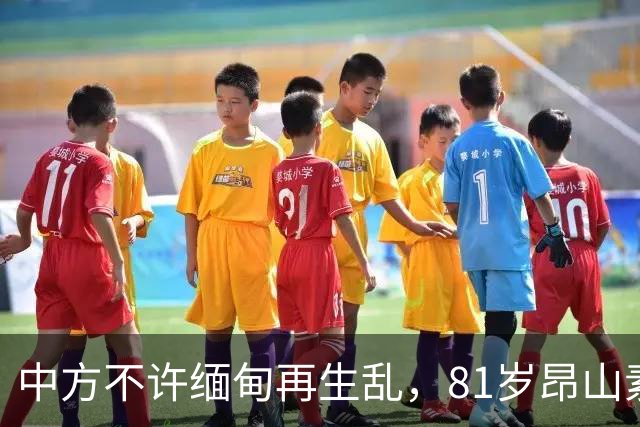 中方不许缅甸再生乱，81岁昂山素季再度现身，第三国传来一封密信