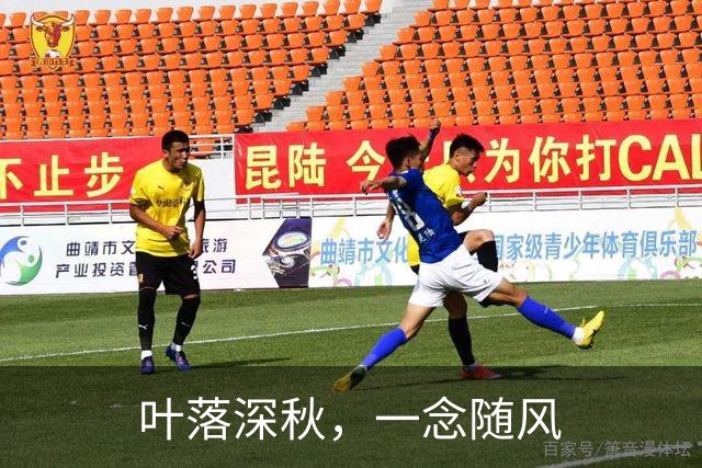 叶落深秋，一念随风