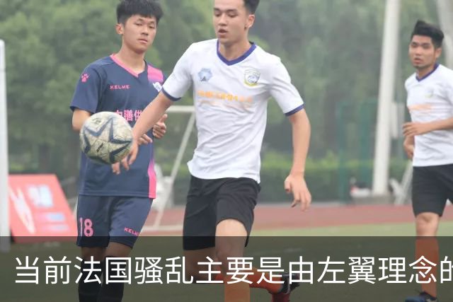 当前法国骚乱主要是由左翼理念的“过犹不及”造成